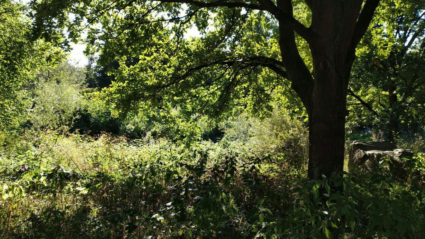 hp-elite-x3-comparison-3