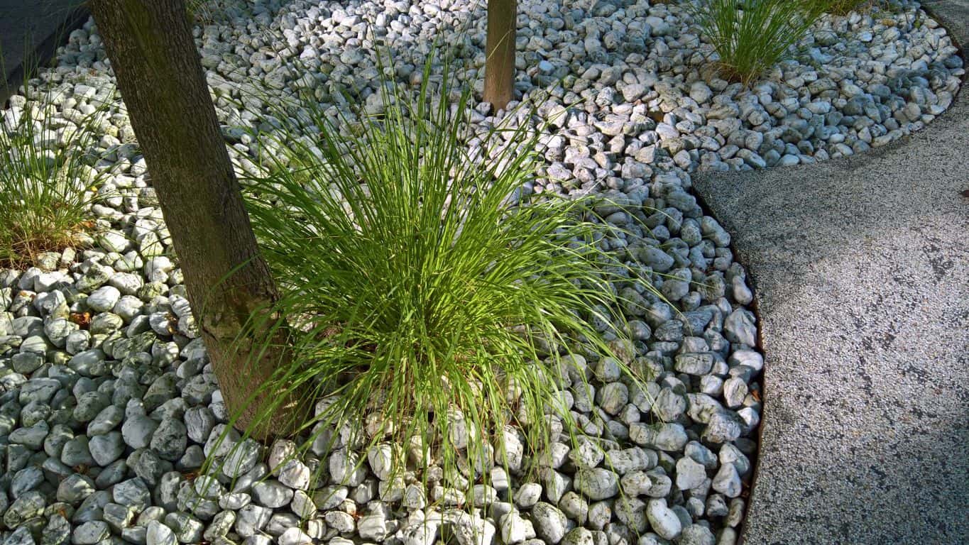 lumia-950-comparison-2