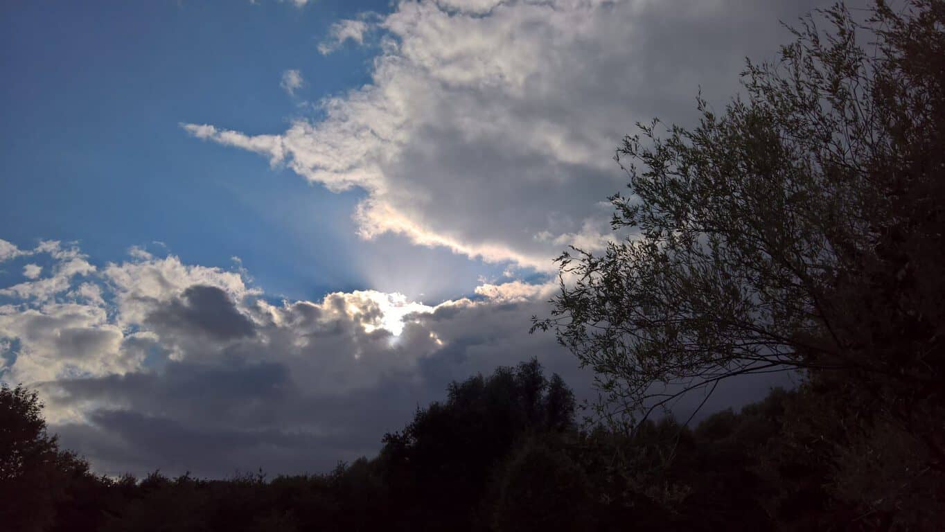 lumia-950-comparison-4