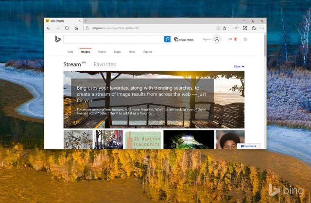 Bing Image Stream enters Beta, shows trending searches in a stream of ...