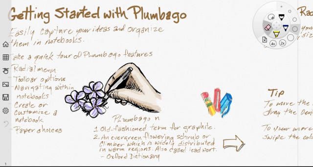 Plumbago cropped