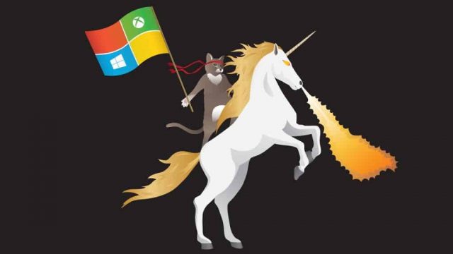 Windows 10, Anniversary update, Microsoft, Ninja Cat