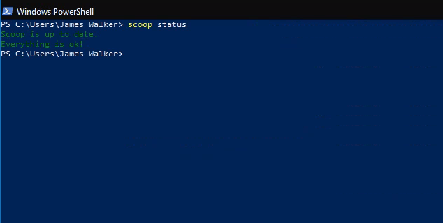 Scoop status command