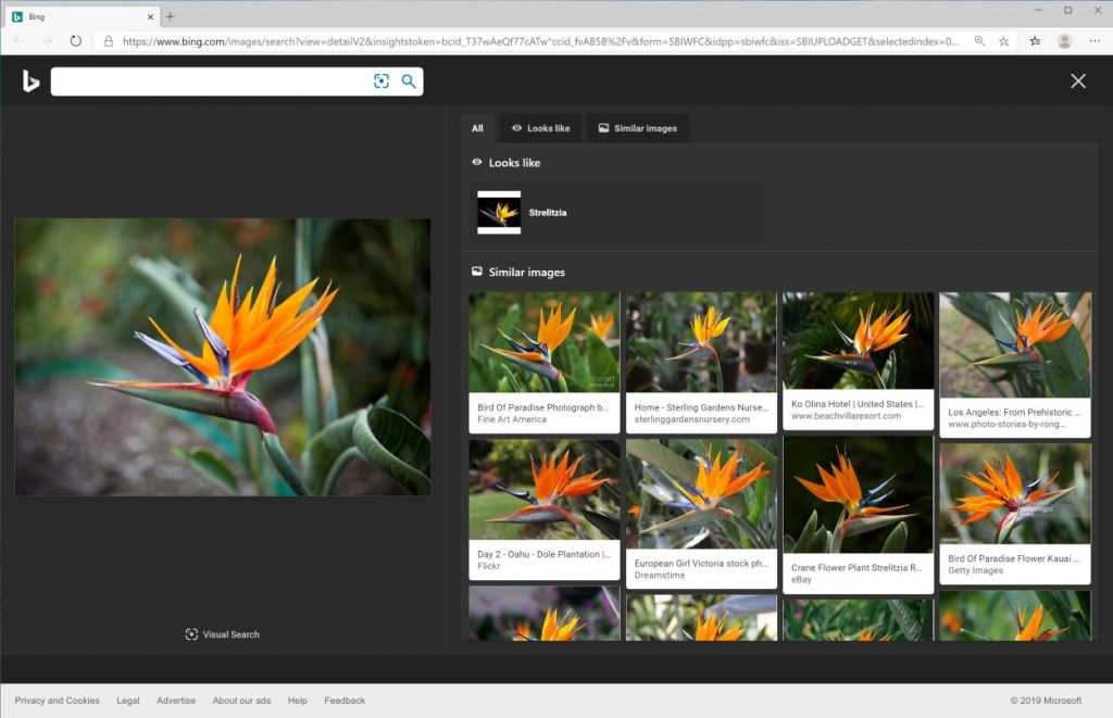 Windows Search Is Getting A New Bing Visual Search Feature That S Rolling Out First In The US