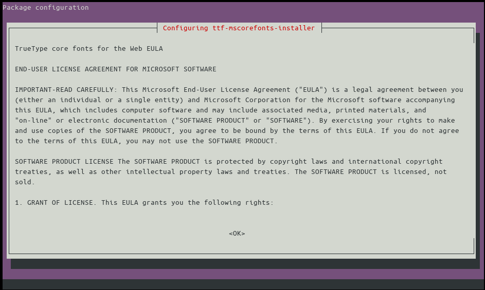 Installing Microsoft fonts on Ubuntu