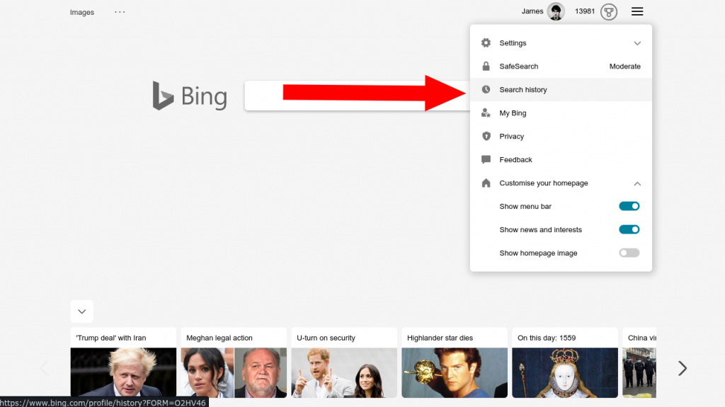 YouTube Bing Search History