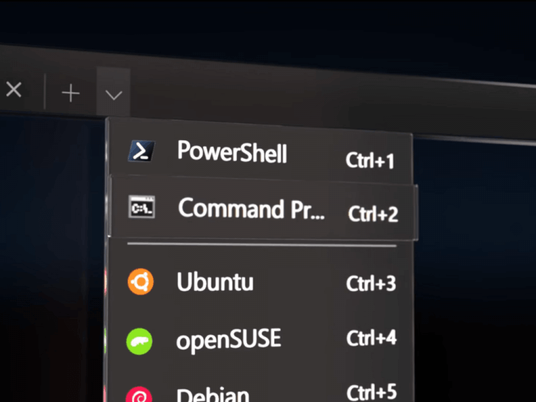 Windows Terminal Windows Subsystem For Linux (custom)