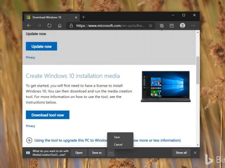 Microsoft Edge download options