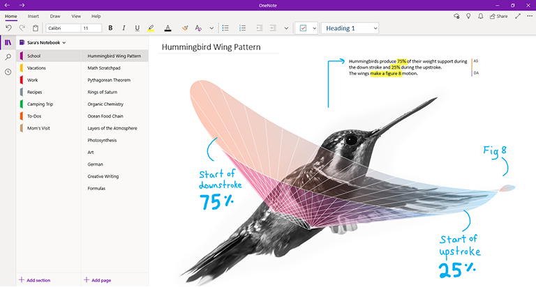 onenote for windows 10 file location