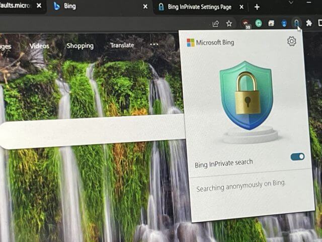 Bing InPrivate Extension