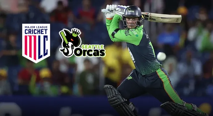 seatle ocras seatle ocras