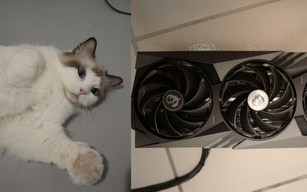 RTX 4090 burn case surfaces after user’s cat alerts him to smoke, highlighting ongoing concerns around GPU power connector safety issues.