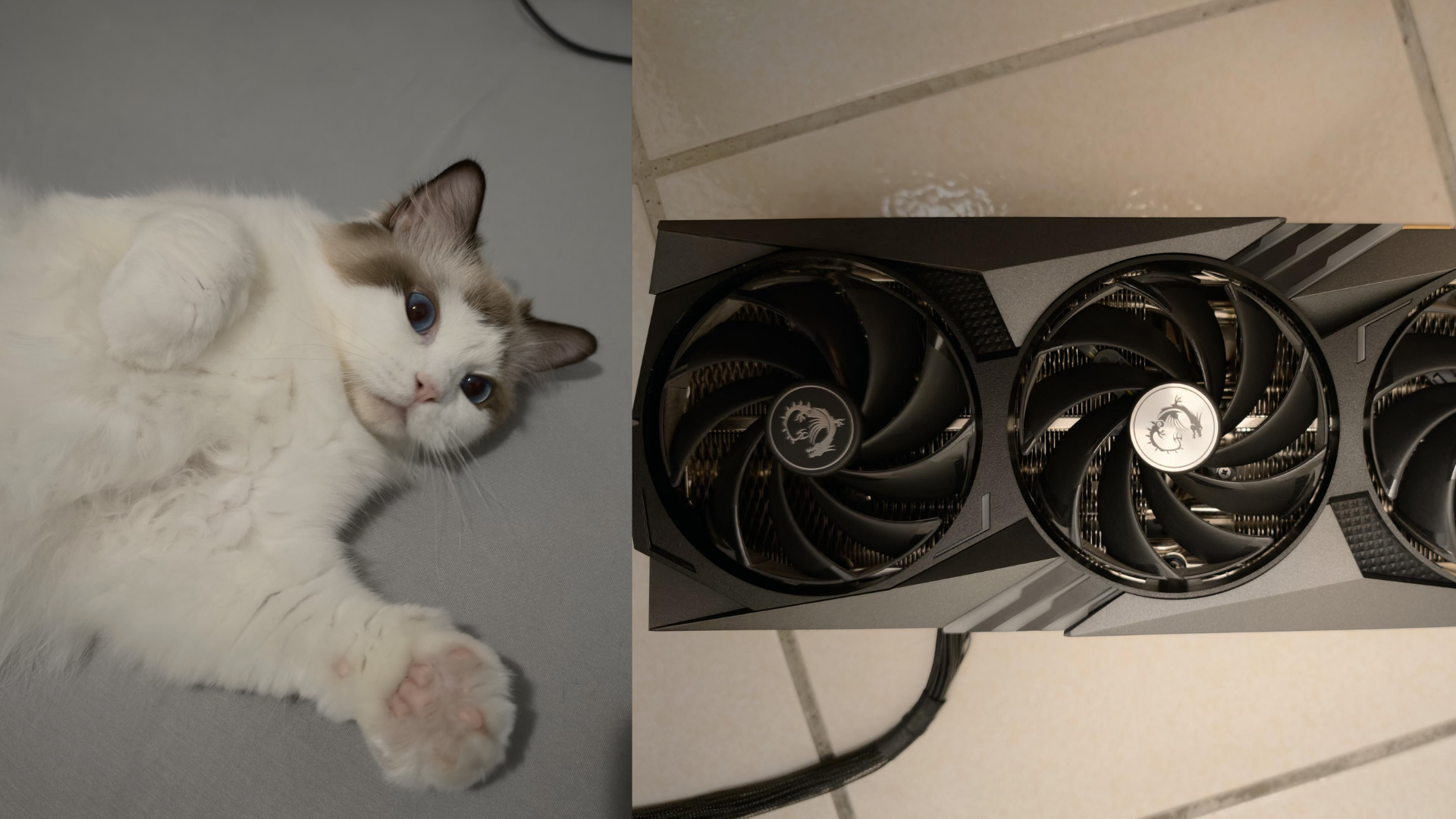 RTX 4090 burn case surfaces after user’s cat alerts him to smoke, highlighting ongoing concerns around GPU power connector safety issues.